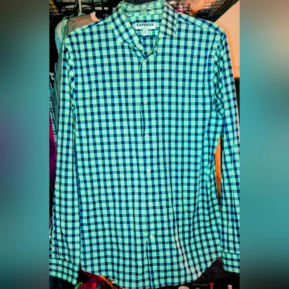 Express Men's Green/Navy Checkered L/S Button Down Shirt